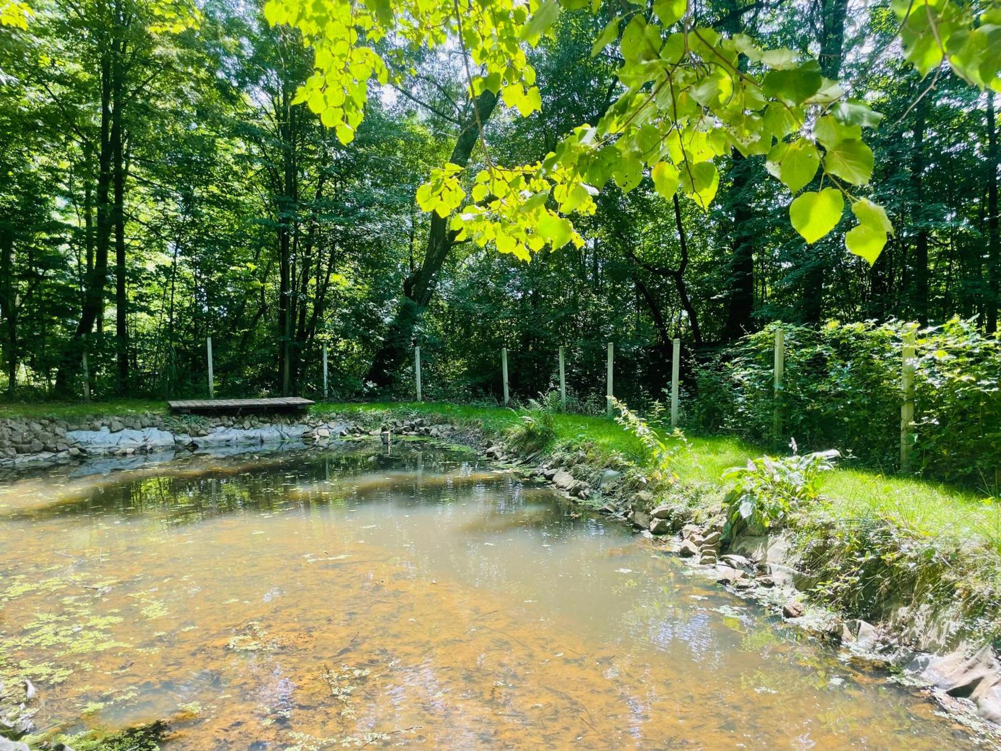 Romantyczna Chatka Pisarzowice  Exterior foto