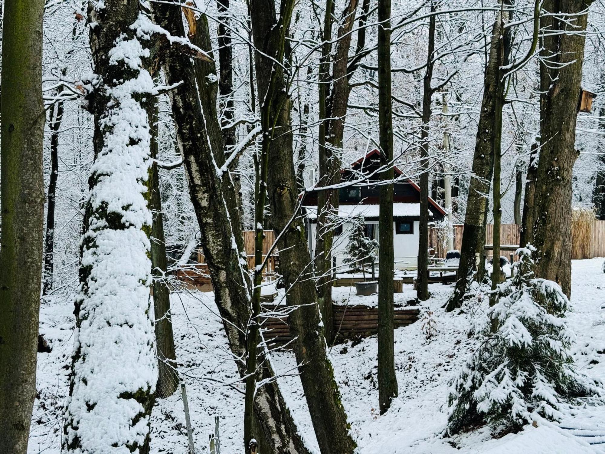 Villa Romantyczna Chatka Pisarzowice  Exterior foto